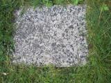 image of grave number 557695